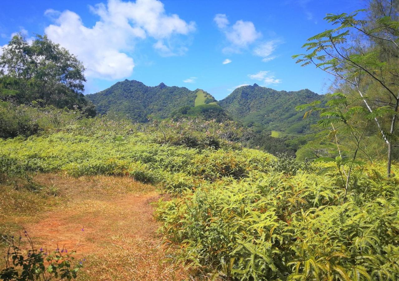 Rarotonga Golfseaview Villa Ngoại thất bức ảnh